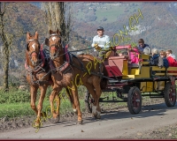 2CHASSE0168