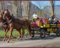 2CHASSE0178