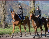2CHASSE0186