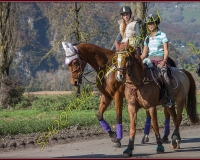 2CHASSE0188
