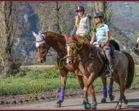 2CHASSE0191