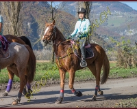 2CHASSE0196