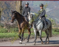 2CHASSE0199