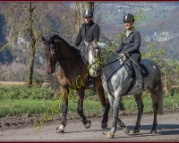 2CHASSE0204