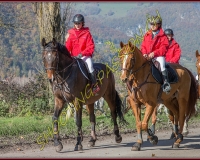 2CHASSE0208