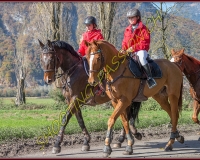 2CHASSE0213