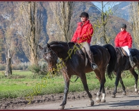 2CHASSE0227