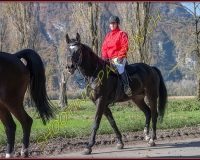 2CHASSE0233