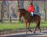 2CHASSE0238
