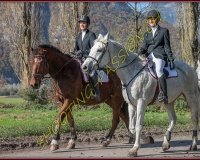 2CHASSE0244