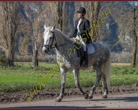 2CHASSE0248