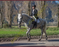 2CHASSE0250