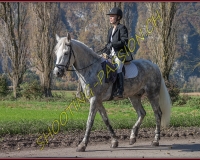 2CHASSE0253