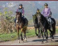 2CHASSE0254