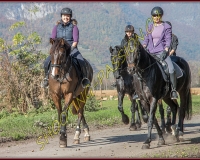 2CHASSE0255