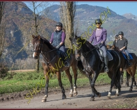 2CHASSE0260