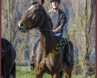 2CHASSE0284