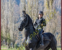 2CHASSE0287
