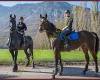 2CHASSE0290