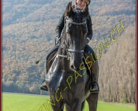 2CHASSE0298