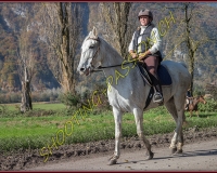 2CHASSE0301