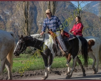 2CHASSE0313