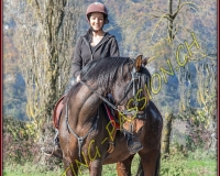 2CHASSE0318