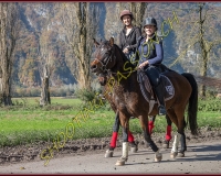 2CHASSE0322