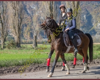 2CHASSE0326