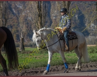 2CHASSE0333