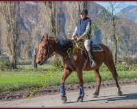 2CHASSE0344