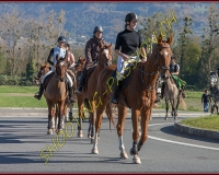 2CHASSE0355