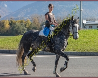2CHASSE0380