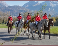 2CHASSE0419