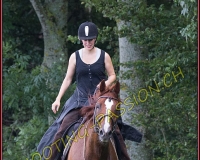 1DBRANDO061