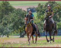 1DBRANDO1041