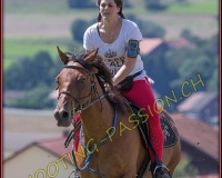 1DBRANDO1072