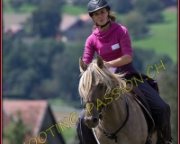 1DBRANDO835
