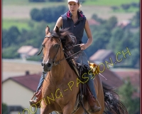 1DBRANDO927