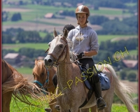 1DBRANDO974