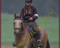 1AUTIGNY-0196