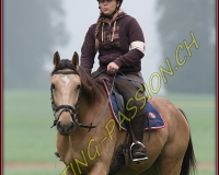 1AUTIGNY-0201