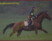1AUTIGNY-0740
