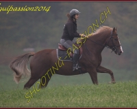 1AUTIGNY-0763