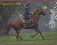 1AUTIGNY-0779