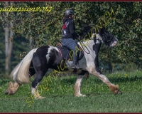 1AUTIGNY-1329