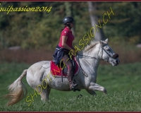 2AUTIGNY-0021