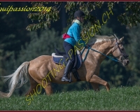 2AUTIGNY-0064