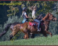 2AUTIGNY-0147