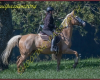 2AUTIGNY-0264